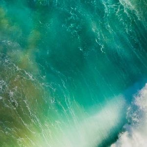 Meet your Posher, The